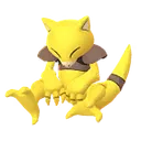 캐이시
