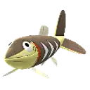 찌로꼬치
