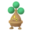 꼬지지