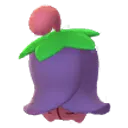 체리꼬 · 네거폼