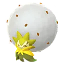 백솜모카