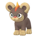 레오꼬
