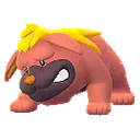 오라티프