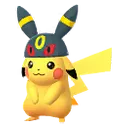 Johto 2020