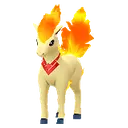 Spring 2023 Valor