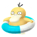 고라파덕 · Swim 2025