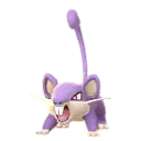 꼬렛