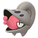 쪼마리