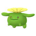 두코