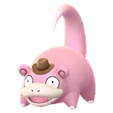 Pi