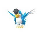 블루 페더