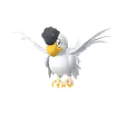 화이트큐레무