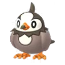 찌르꼬