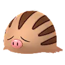 꾸꾸리