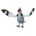 유토브