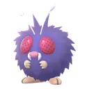 콘팡