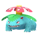 이상해꽃