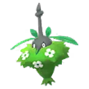 도롱마담 · Plant